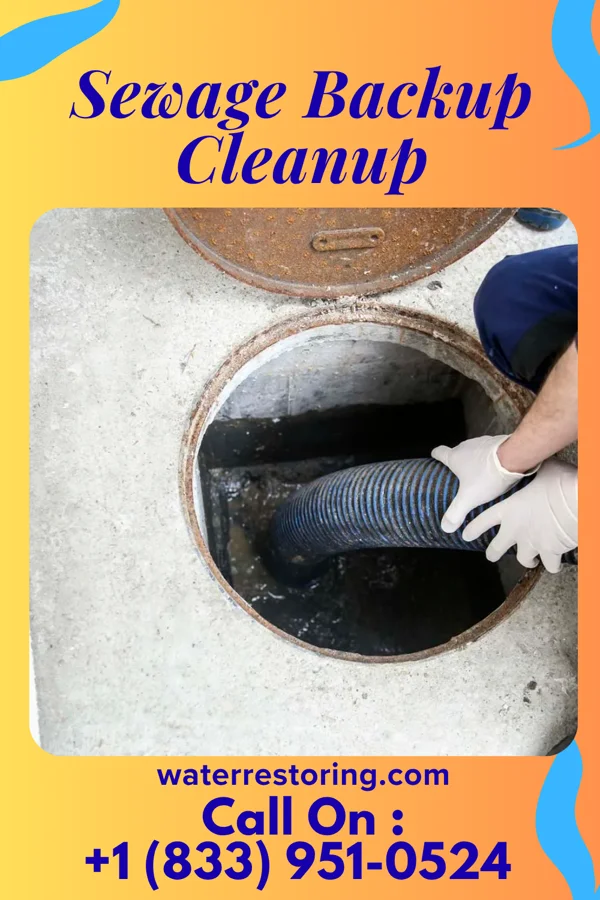 Sewage Backup Cleanup in Timberlane, IL